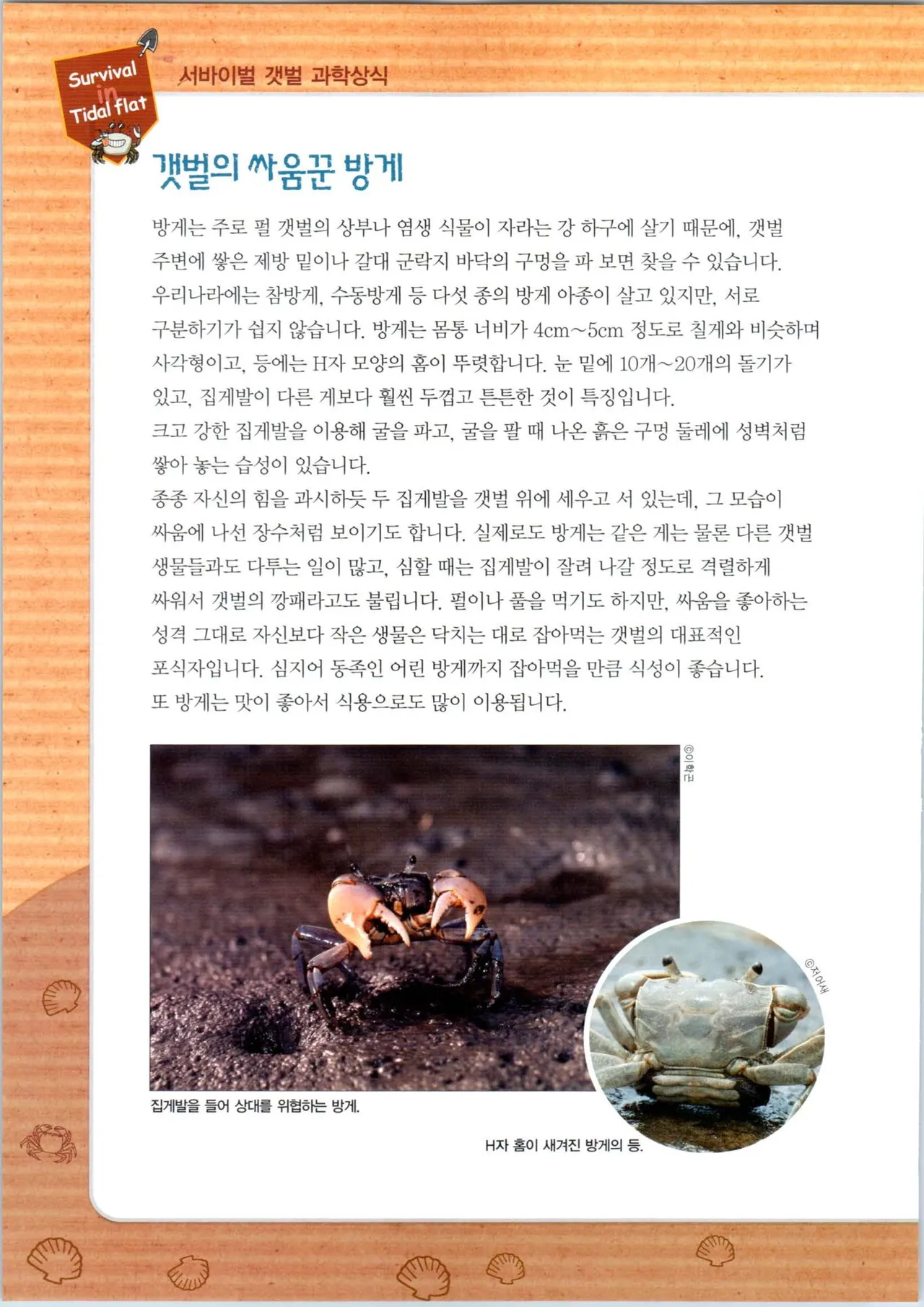 갯벌에서 살아남기 1-2권 - Image 113