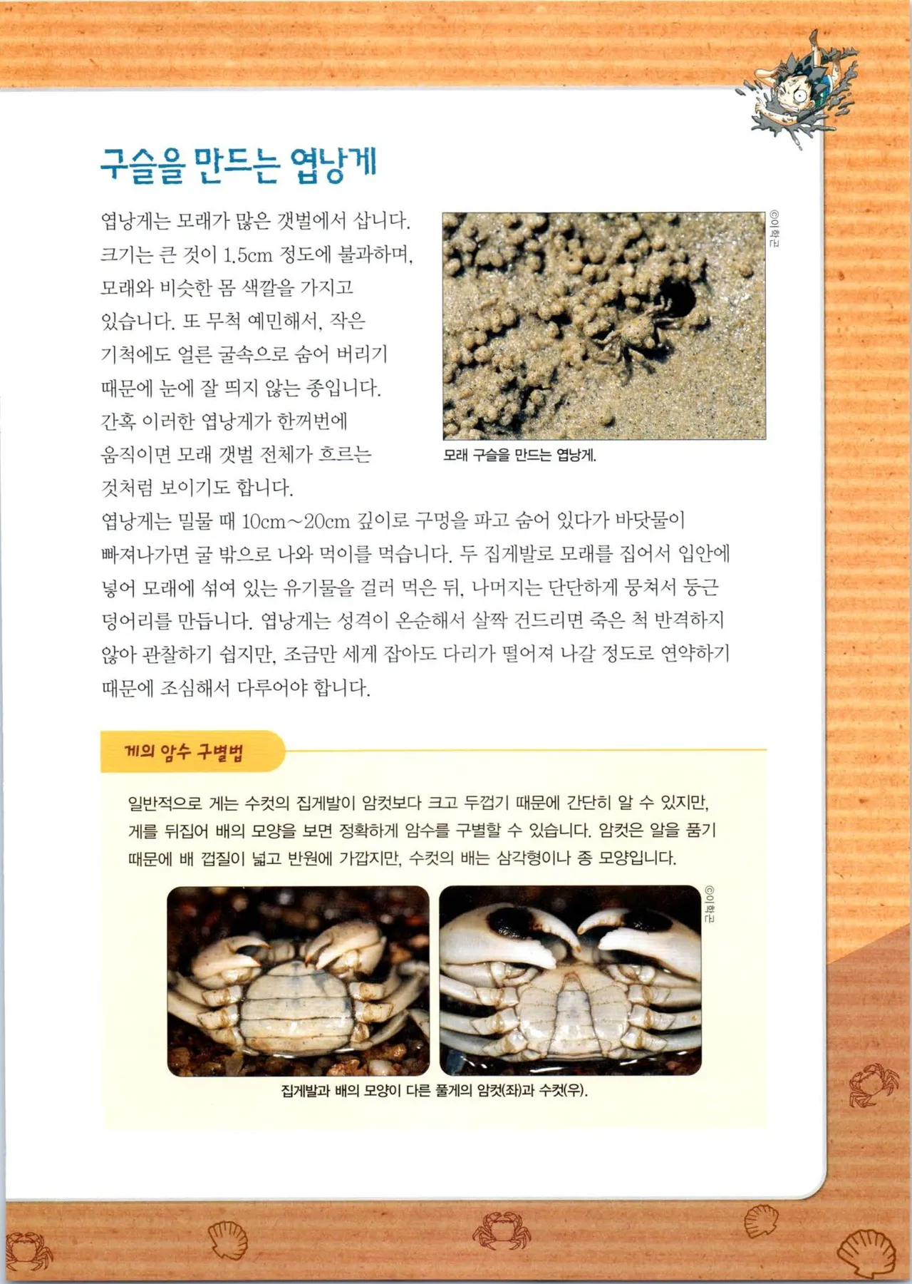 갯벌에서 살아남기 1-2권 - Image 114