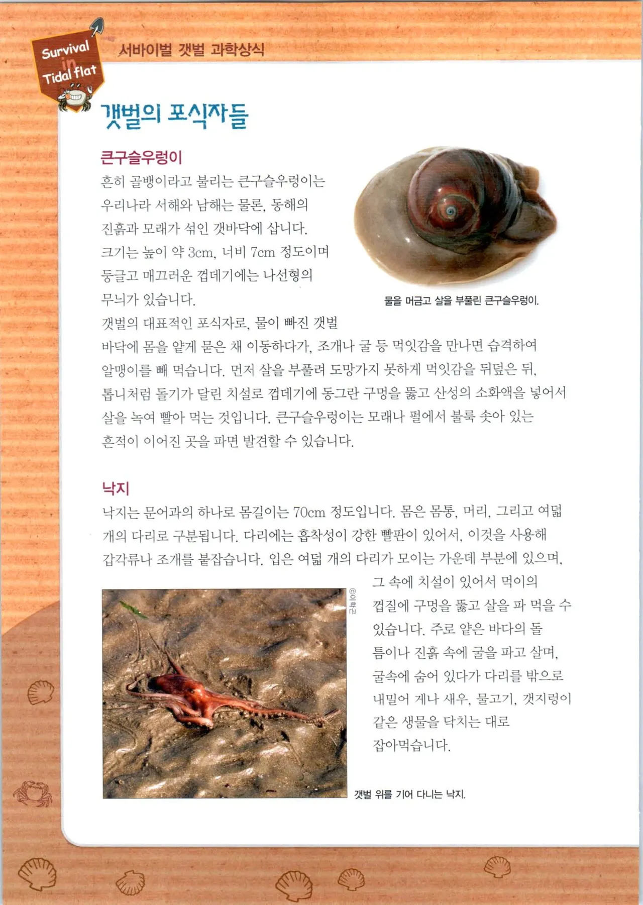 갯벌에서 살아남기 1-2권 - Image 155