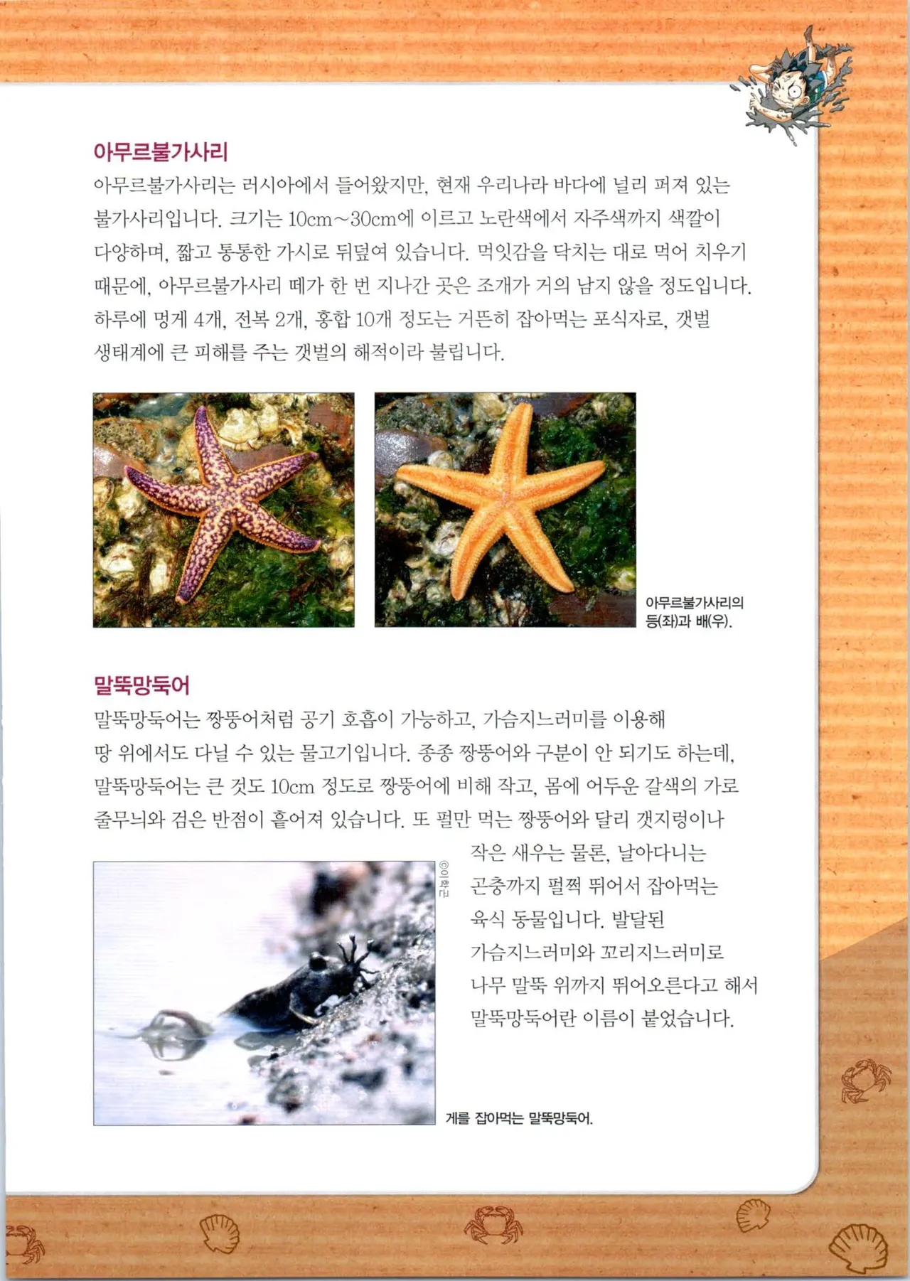 갯벌에서 살아남기 1-2권 - Image 156