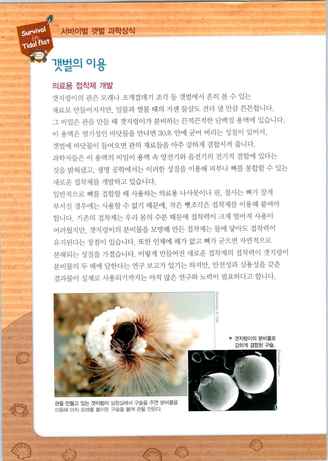 갯벌에서 살아남기 1-2권 - Image 185