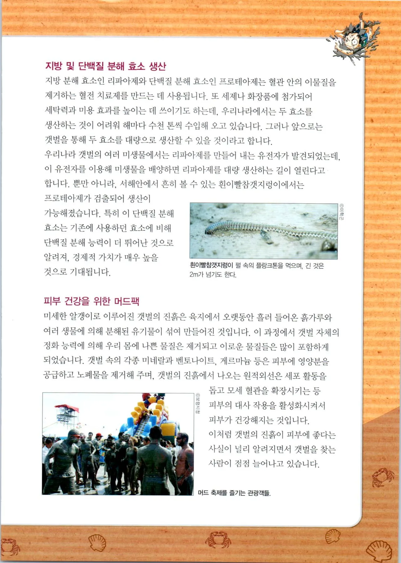 갯벌에서 살아남기 1-2권 - Image 186