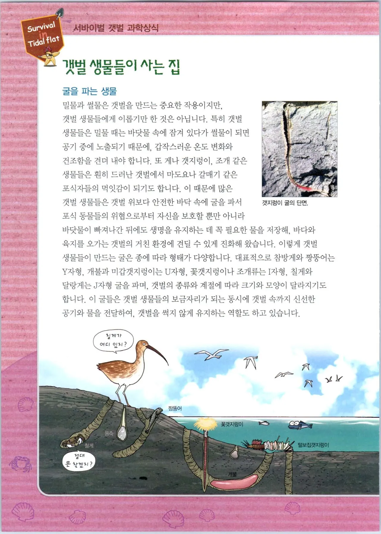 갯벌에서 살아남기 1-2권 - Image 244