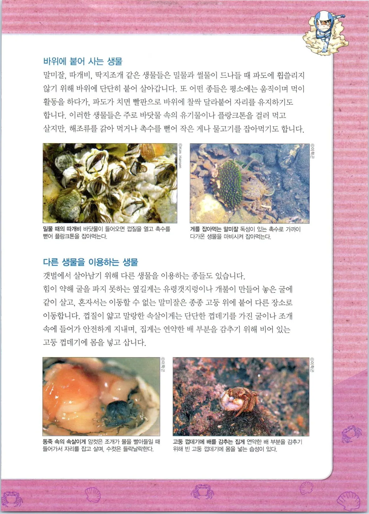 갯벌에서 살아남기 1-2권 - Image 245