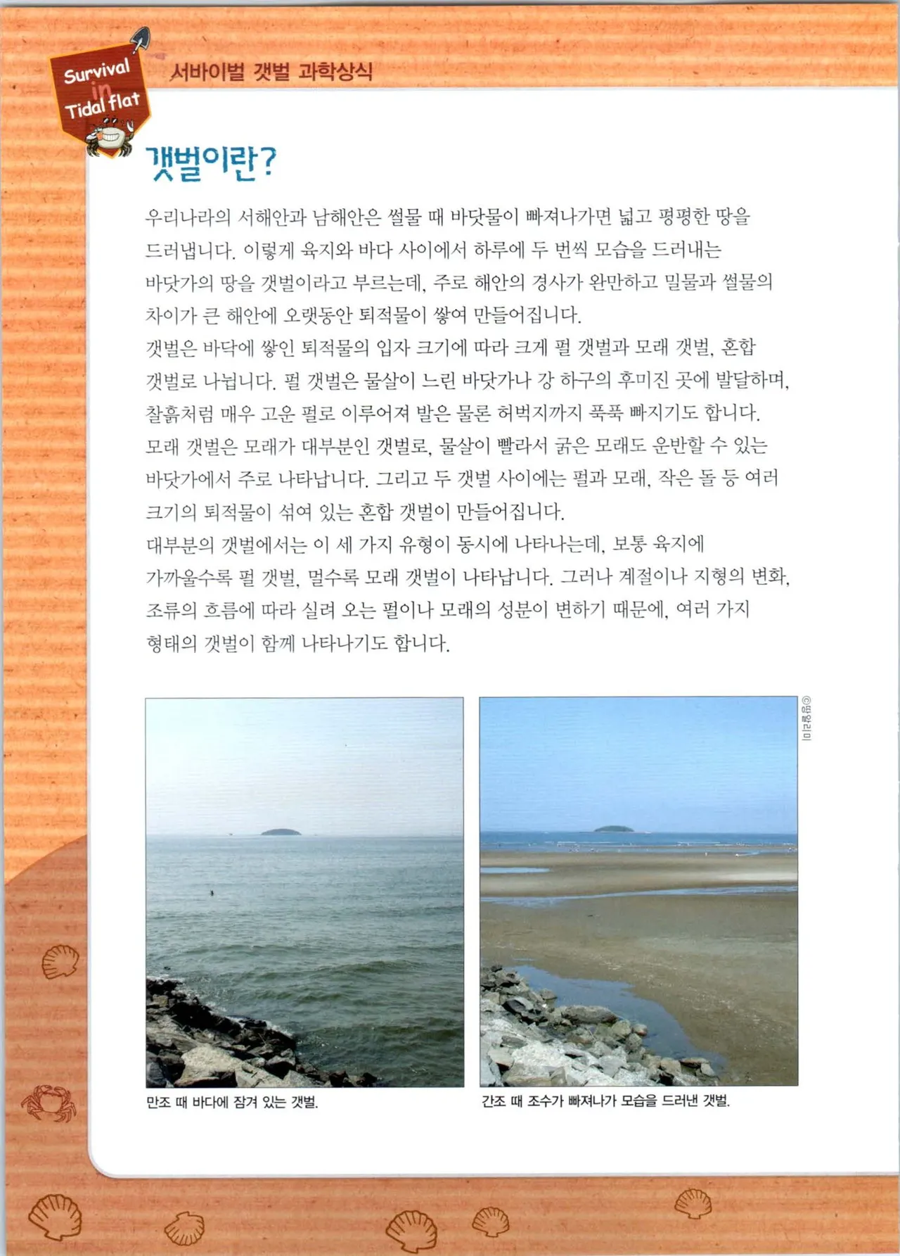 갯벌에서 살아남기 1-2권 - Image 25