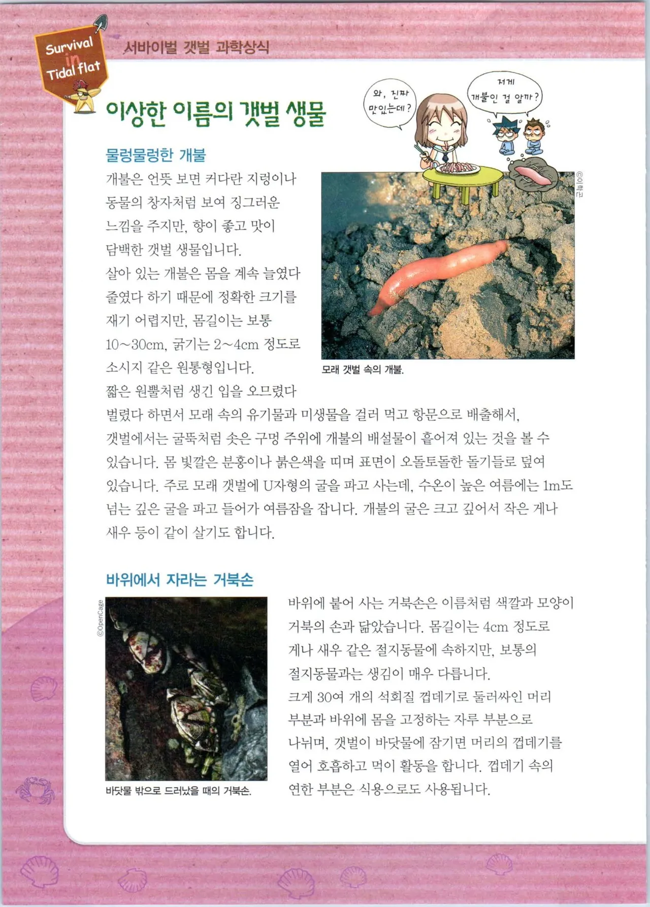 갯벌에서 살아남기 1-2권 - Image 260