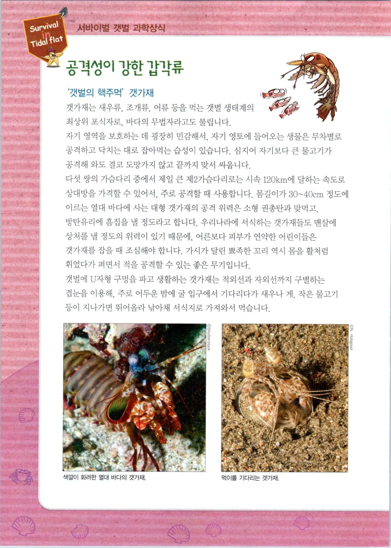 갯벌에서 살아남기 1-2권 - Image 292