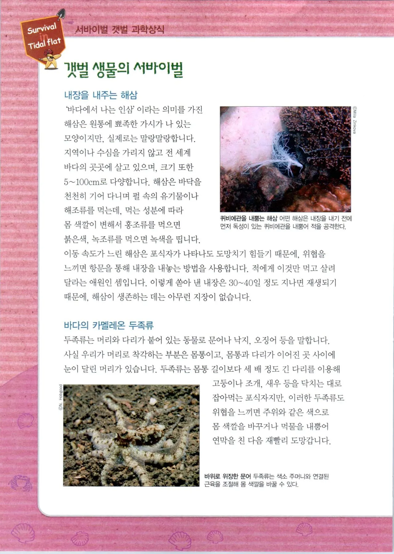 갯벌에서 살아남기 1-2권 - Image 312