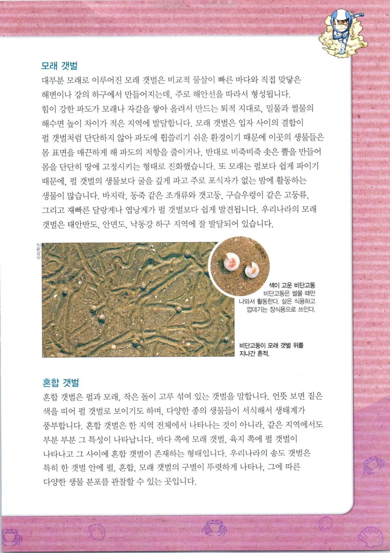 갯벌에서 살아남기 1-2권 - Image 329