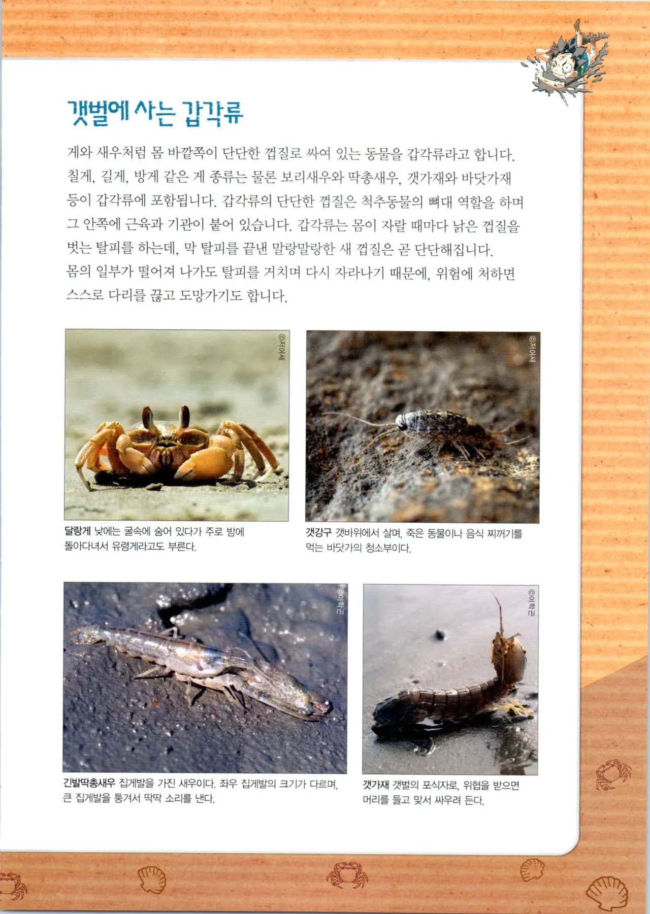 갯벌에서 살아남기 1-2권 - Image 94