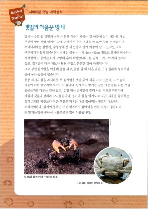 갯벌에서 살아남기 1-2권 - Page 113