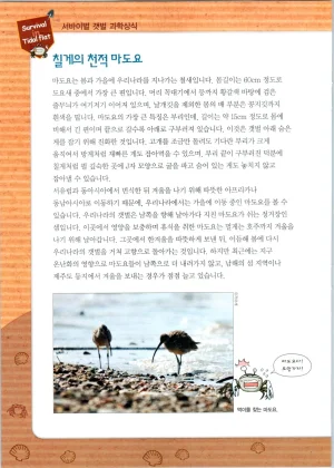 갯벌에서 살아남기 1-2권 - Page 137