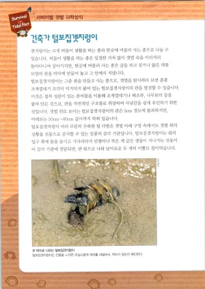 갯벌에서 살아남기 1-2권 - Page 169