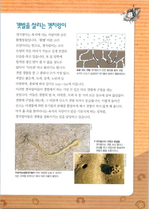 갯벌에서 살아남기 1-2권 - Page 170