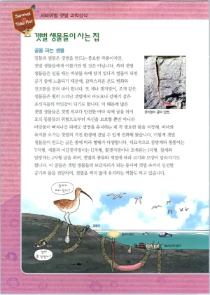 갯벌에서 살아남기 1-2권 - Page 244