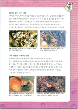 갯벌에서 살아남기 1-2권 - Page 245