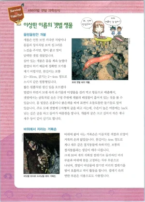 갯벌에서 살아남기 1-2권 - Page 260
