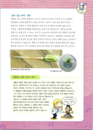 갯벌에서 살아남기 1-2권 - Page 261