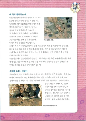 갯벌에서 살아남기 1-2권 - Page 293