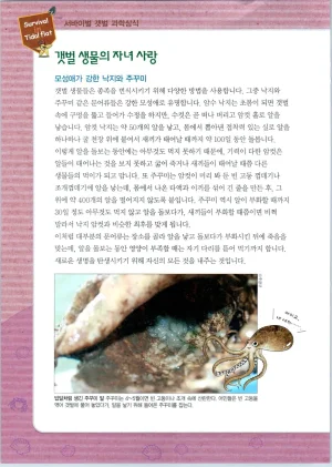 갯벌에서 살아남기 1-2권 - Page 354