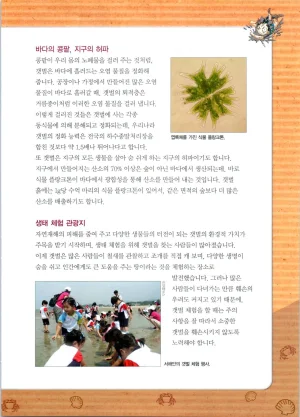 갯벌에서 살아남기 1-2권 - Page 42