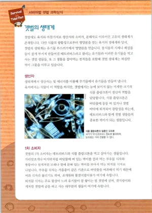 갯벌에서 살아남기 1-2권 - Page 75