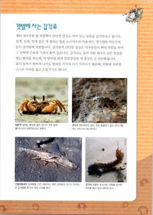 갯벌에서 살아남기 1-2권 - Page 94