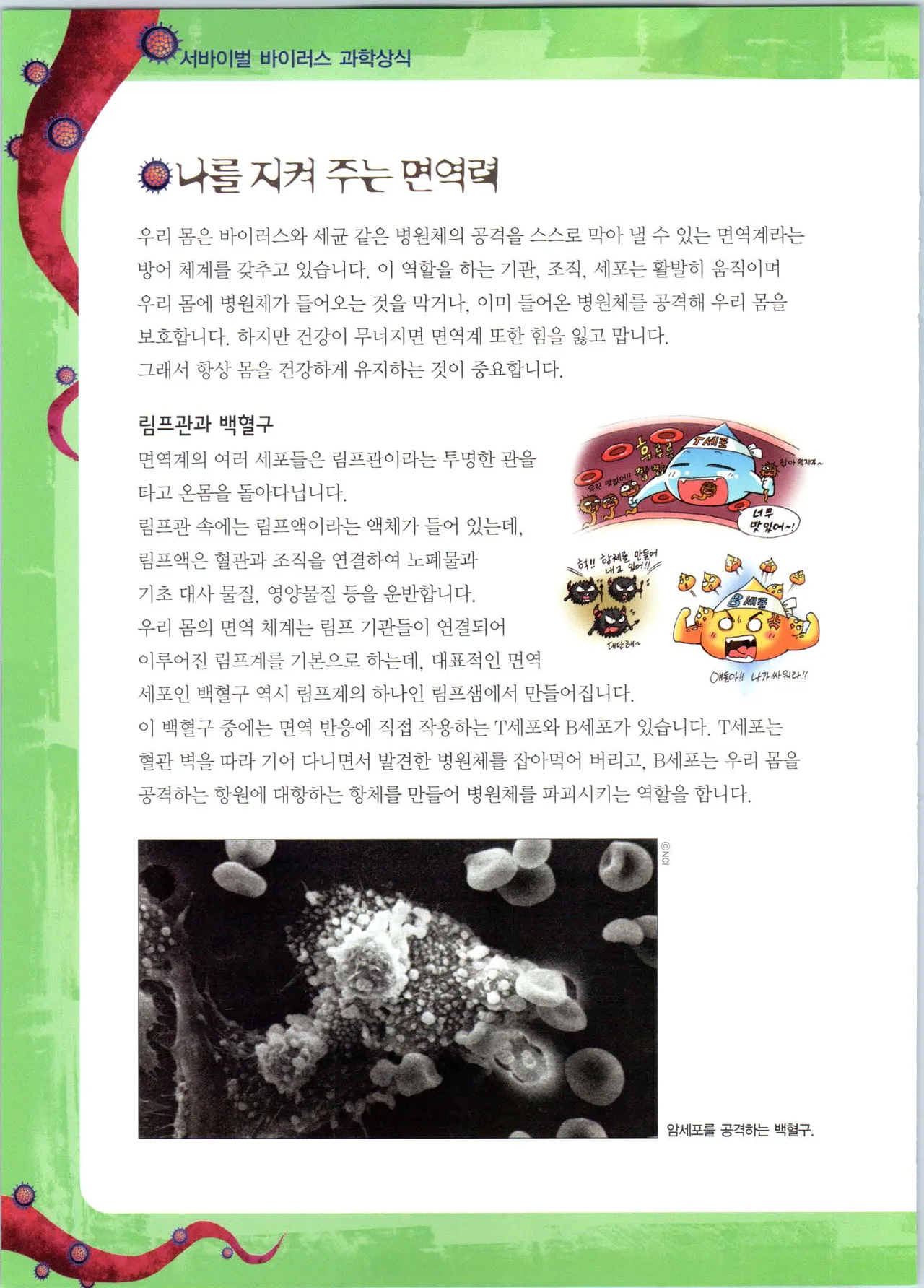 바이러스에서 살아남기 1-2권 - Image 212