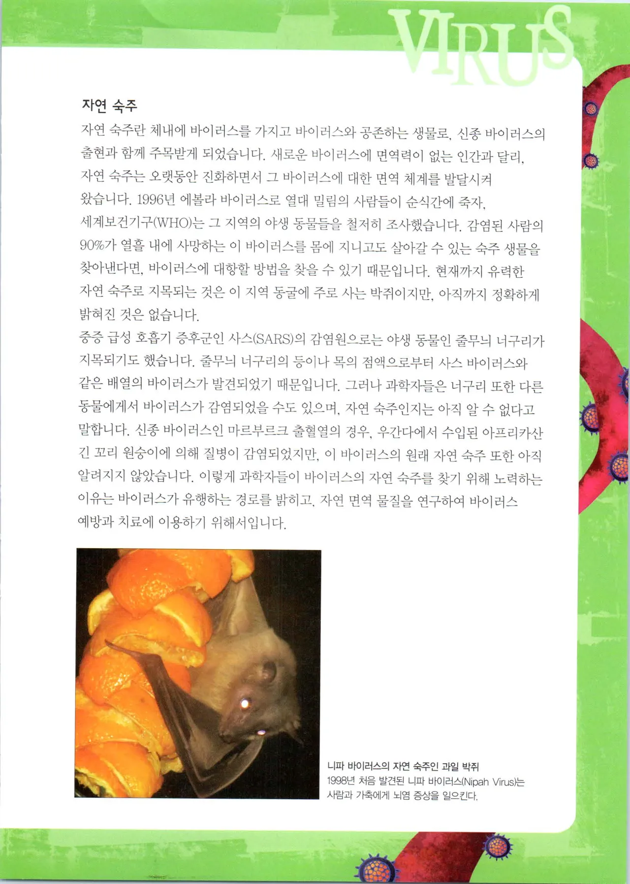 바이러스에서 살아남기 1-2권 - Image 281