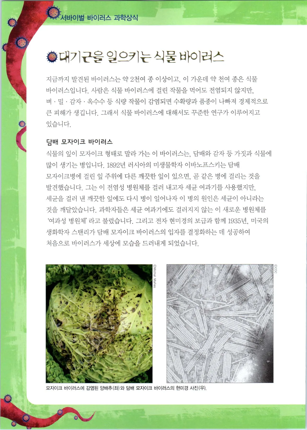 바이러스에서 살아남기 1-2권 - Image 310