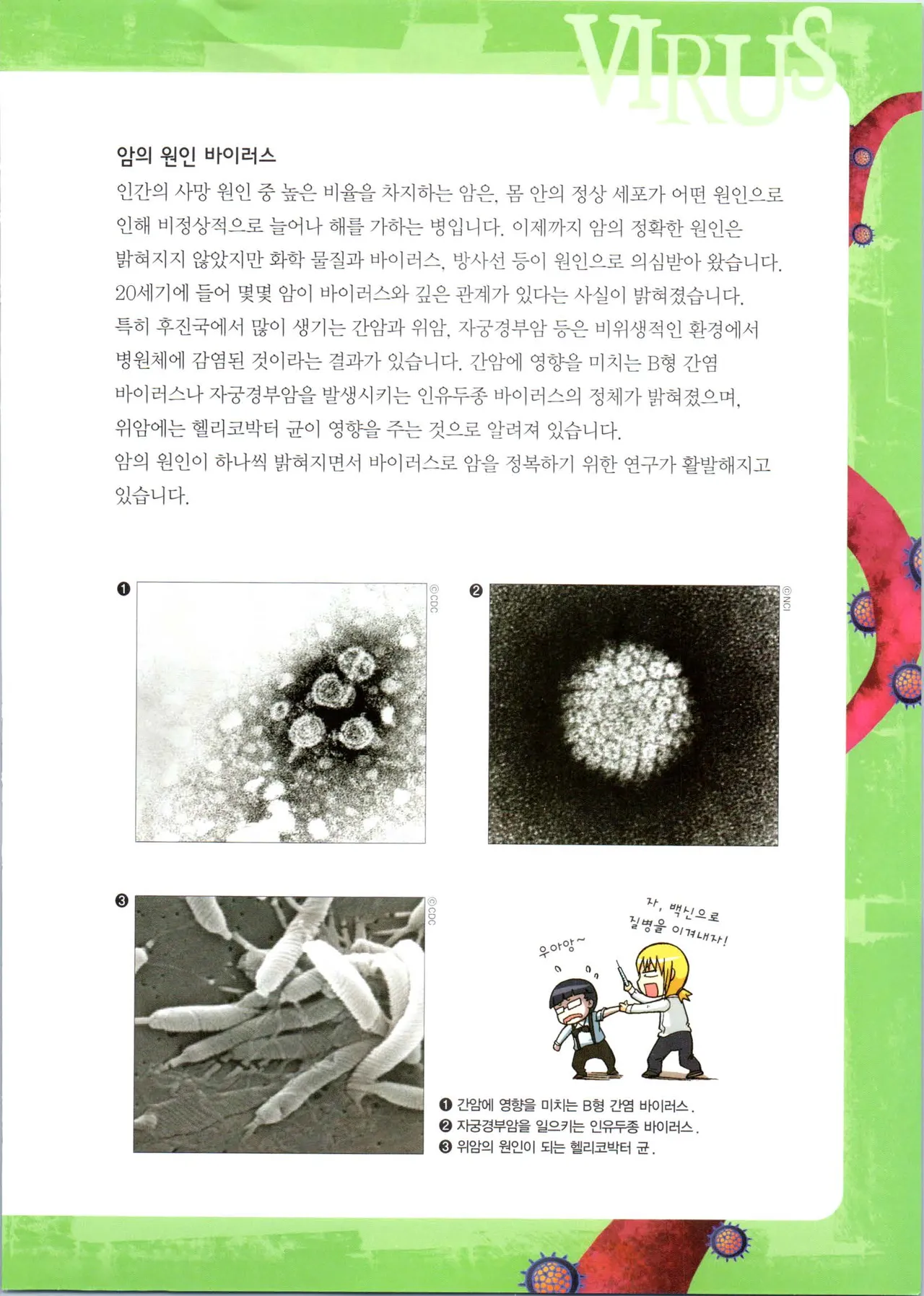 바이러스에서 살아남기 1-2권 - Image 357