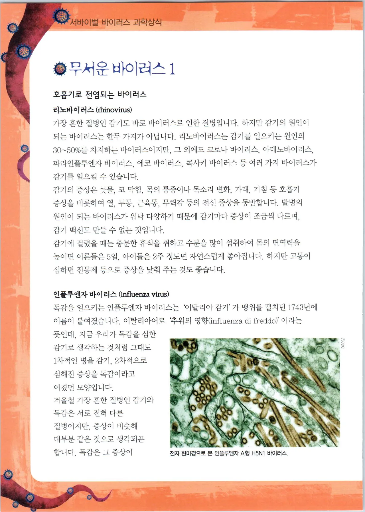 바이러스에서 살아남기 1-2권 - Image 96