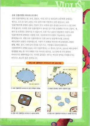 바이러스에서 살아남기 1-2권 - Page 229