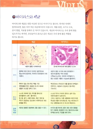 바이러스에서 살아남기 1-2권 - Page 23