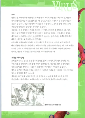 바이러스에서 살아남기 1-2권 - Page 297