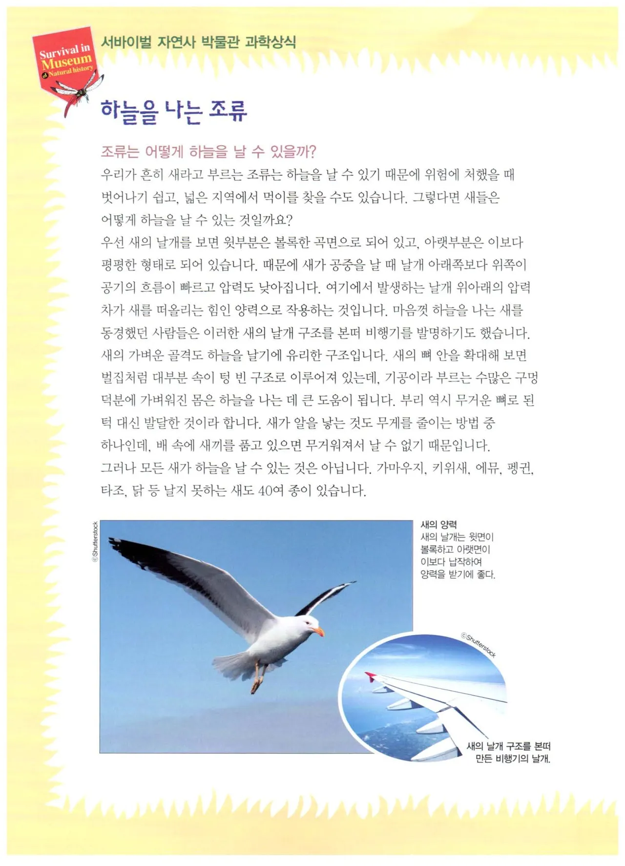 자연사 박물관에서 살아남기 1-2권 - Image 206