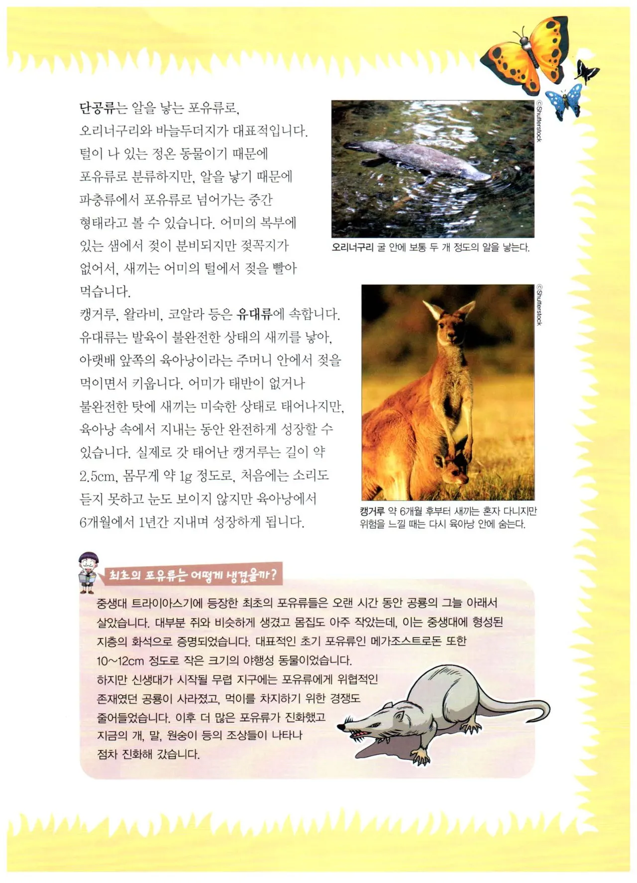 자연사 박물관에서 살아남기 1-2권 - Image 227