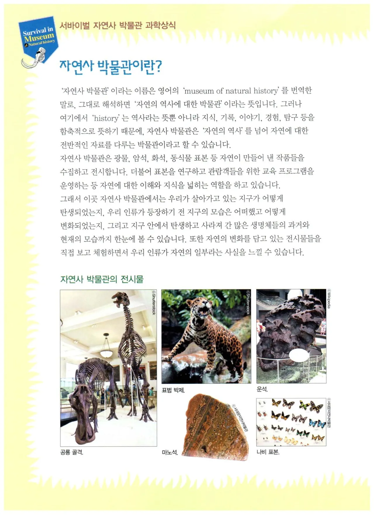 자연사 박물관에서 살아남기 1-2권 - Image 27