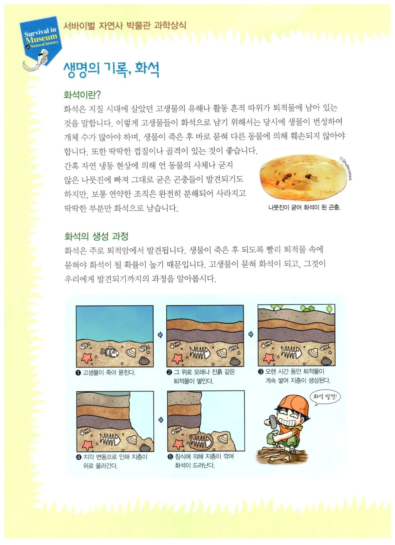 자연사 박물관에서 살아남기 1-2권 - Image 71