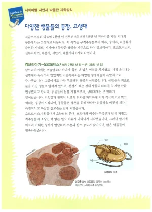 자연사 박물관에서 살아남기 1-2권 - Page 129