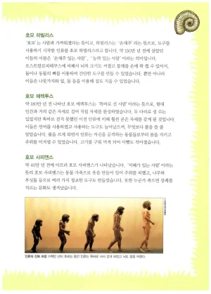 자연사 박물관에서 살아남기 1-2권 - Page 162