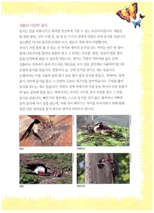 자연사 박물관에서 살아남기 1-2권 - Page 207
