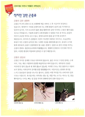 자연사 박물관에서 살아남기 1-2권 - Page 262