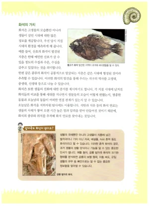자연사 박물관에서 살아남기 1-2권 - Page 72