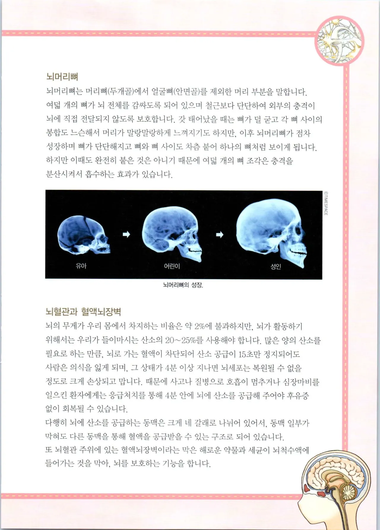 인체에서 살아남기 1-3권 - Image 395