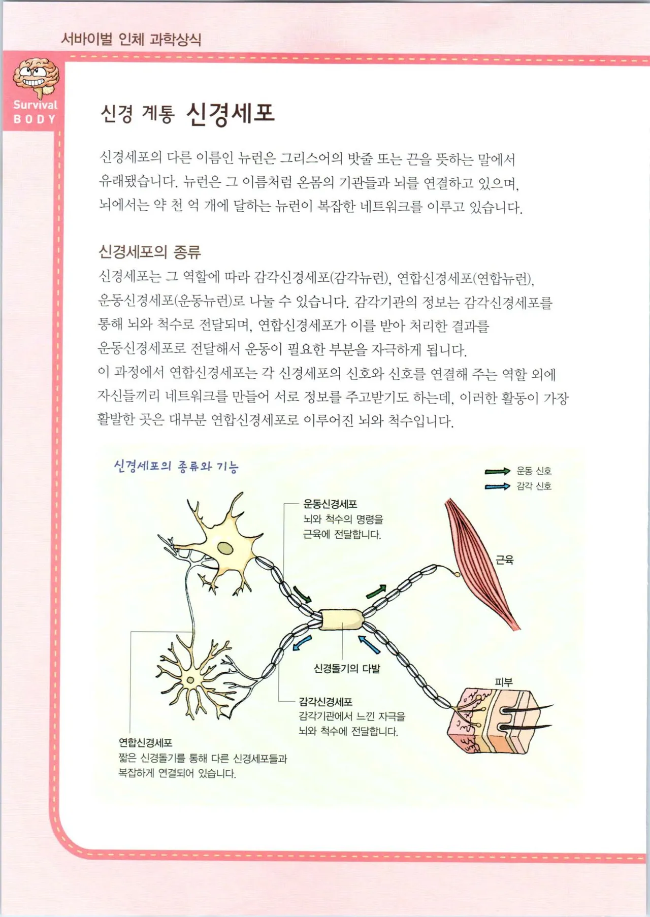 인체에서 살아남기 1-3권 - Image 428
