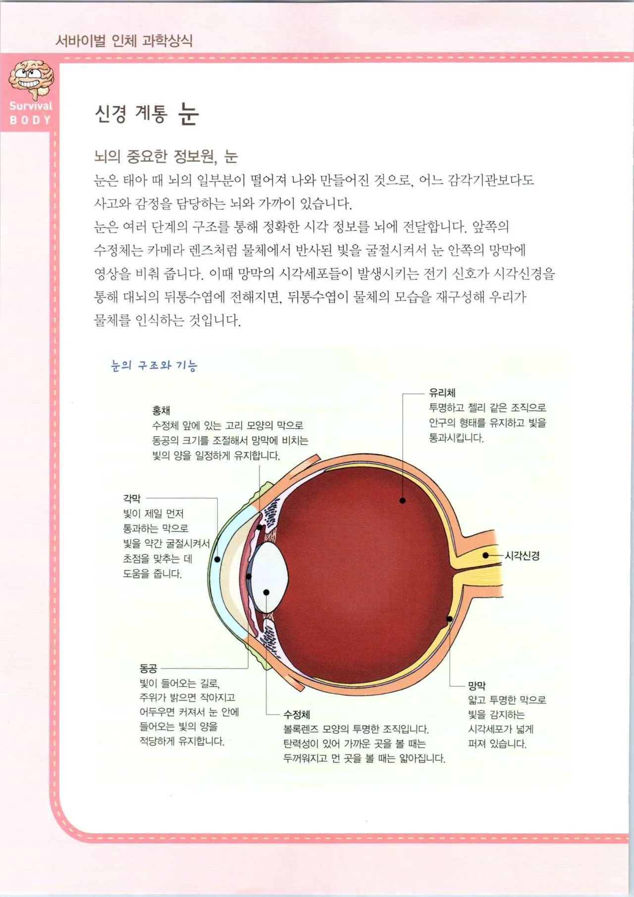 인체에서 살아남기 1-3권 - Image 460