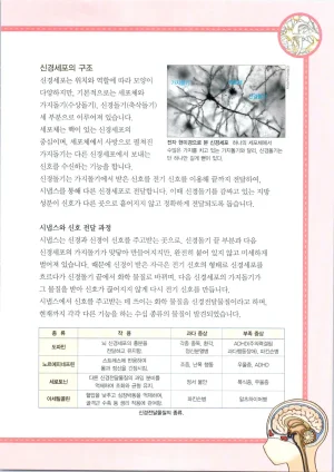 인체에서 살아남기 1-3권 - Page 429