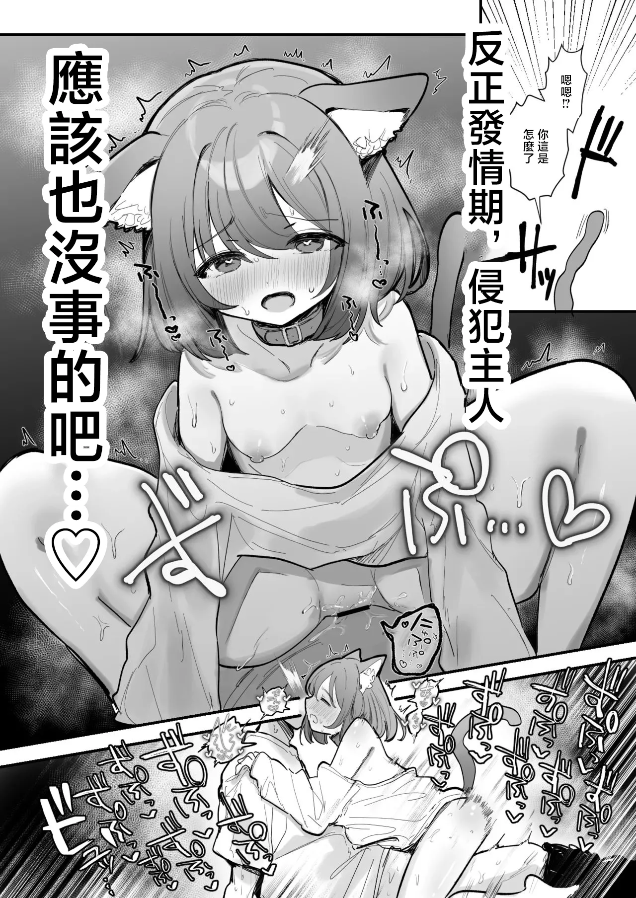 えろはむ ふたごにゃんこの発情期-1280x - Image 5