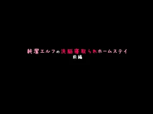 530 純潔エルフの洗脳寝取られホームステイ 前編机翻 - Page 18